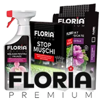 FLORIA PREMIUM