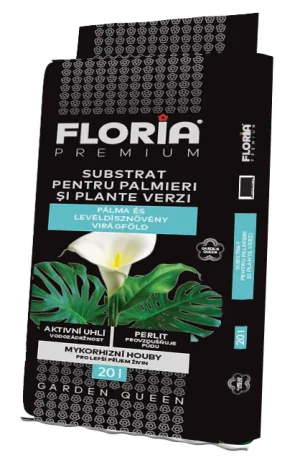 FLORIA Pálma és levéldísznövény virágföld
