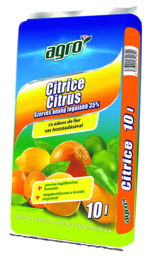 Citrus virágföld